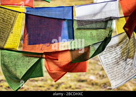 Bandiere di preghiera tibetane che sono un simbolo di desiderio di prosperità e benessere. La foto è stata scattata nel lago Changu, Sikkim orientale, India Foto Stock