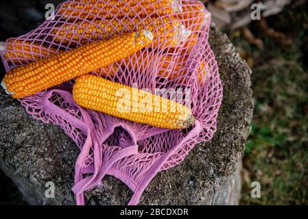 Vista di molti corni di cocco all'interno della borsa a maglia rosa eco. Raccolta biologica di mais giallo vicino a boschi di legna da ardere all'aperto. Concetto di borsa per lo shopping ecologica. Foto Stock