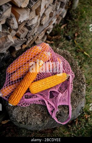 Vista di molti corni di cocco all'interno della borsa a maglia rosa eco. Raccolta biologica di mais giallo vicino a boschi di legna da ardere all'aperto. Concetto di borsa per lo shopping ecologica. Foto Stock