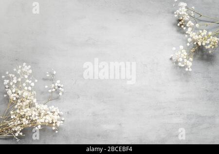 Bouquet di fiori bianchi su sfondo grigio pastello. Disposizione piatta, vista dall'alto. Foto Stock