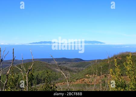 Vista dalla cima di Garajonay su arbusti e alberi, tracce del fuoco della foresta del 2012, all'orizzonte l'isola di la Palma, la Gomera, CA Foto Stock