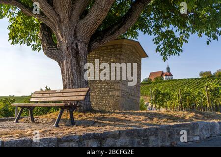 Idilliaco luogo di riposo sotto albero di noce sullo sfondo un vigneto con chiesa di pellegrinaggio Maria in vigna e cielo blu al sole vicino al to Foto Stock