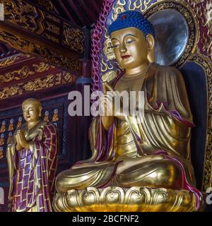 Statua di Buddha color oro situata nella Pagoda dell'Oca selvaggia Gigante. XI'an, provincia di Shaanxi, Cina Foto Stock