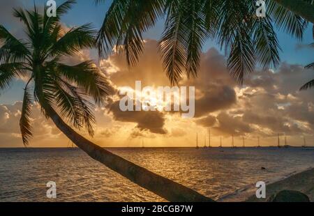 Ancorare yacht al tramonto nella laguna dell'Atollo di Suwarrow, Isole Cook, Polinesia Foto Stock