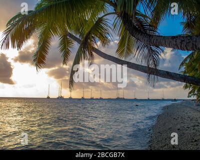 Ancorare yacht al tramonto nella laguna dell'Atollo di Suwarrow, Isole Cook, Polinesia Foto Stock