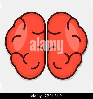 illustrazione del vettore isolato dell'organo cerebrale umano Illustrazione Vettoriale