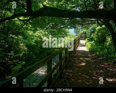 Sentiero con recinzione in legno vicino al fiume Tajima che conduce alla costa di Jogasaki a Ito, Izu, Giappone. Foto Stock