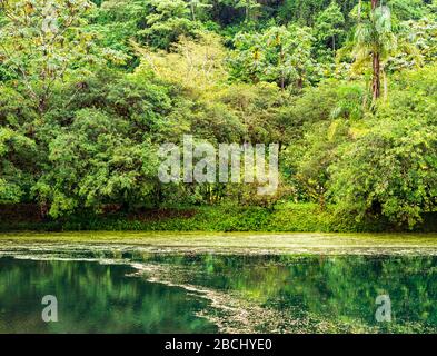 Ammira il piccolo lago circondato dalla foresta pluviale sulle orme del vulcano Arenal in Costa Rica Foto Stock