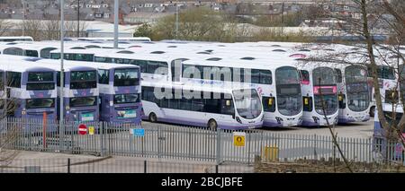 Un gran numero di autobus gestiti da First Sheffield parcheggiati in deposito a causa della riduzione dei servizi a causa dell'epidemia del Covid-19 Foto Stock