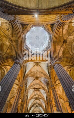 Vista interna delle volte a coste e della cupola all'interno di Santa Maria del Mar a Barcellona, Spagna Foto Stock