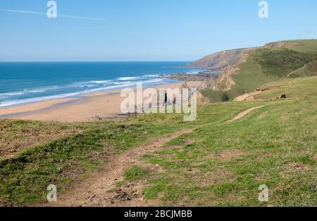 Le scogliere scoscese di Sandymouth Bay e la costa atlantica di Cornovaglia fanno una passeggiata stimolante lungo il sentiero della costa sud-occidentale Foto Stock