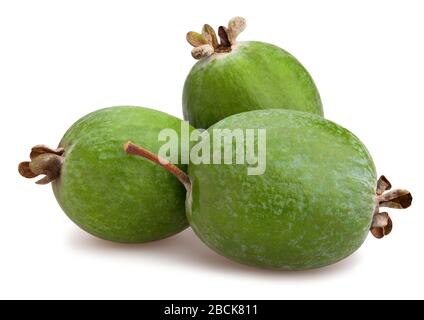 sentiero feijoa isolato su bianco Foto Stock