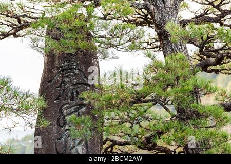Takayama, Giappone - 9 aprile 2019: Percorso a piedi Higashiyama per i santuari nella prefettura di Gifu con il closeup della roccia stele tradizionale giapponese di pietra con Foto Stock