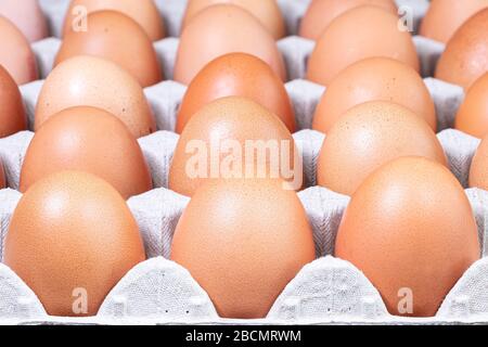 Uova di fattoria biologica in una scatola di uova è. Uova di polli da aree ecologicamente pulite Foto Stock