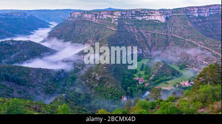 Francia, Gard, Cirque de Navacelles, hameau (frazione) de Navacelles, vista dal Belvedere, nebbia di primo mattino nella gola del fiume Vis Foto Stock