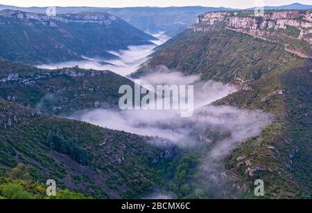 Francia, Gard, Cirque de Navacelles, vista dal Belvedere, nebbia di primo mattino nella gola della valle del fiume Vis Foto Stock