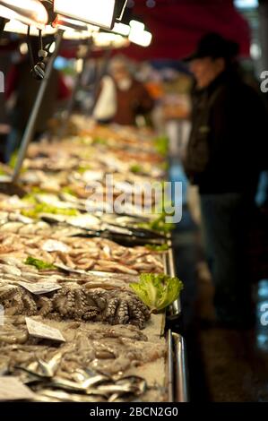 Polpo in mostra, mercato del pesce, Ponte di Rialto, Venezia, Italia Foto Stock