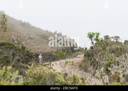 Parco Nazionale di Chingaza, Colombia. Paesaggio di Paramo: Uomo su un sentiero che corre su una collina, circondato dal verde, una giornata nuvolosa e nebbia Foto Stock