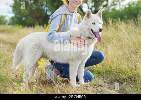 Closeup giovane femmina bianco cane Husky con lingua blu occhi sulla passeggiata Foto Stock