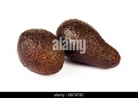 Un semplice paio di avocado fresco maturo. Due oggetti di frutta interi e rotondi non pelati isolati su sfondo bianco, tagliati. Cibo esotico naturale sano Foto Stock