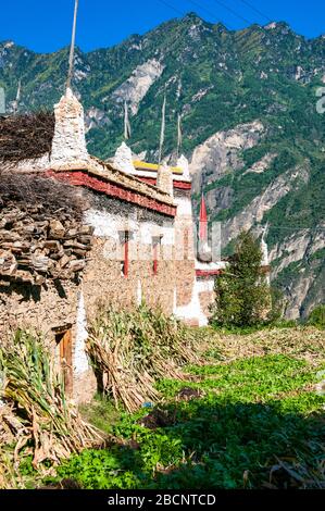 Jiaju Zangzhai uno della Cina il più bei villaggi, Danba County, nella provincia di Sichuan Foto Stock