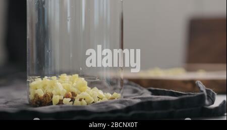 aggiungere lo zenzero tritato nel bicchiere di vetro con tè nero secco foglie e gaberries sul piano cucina Foto Stock