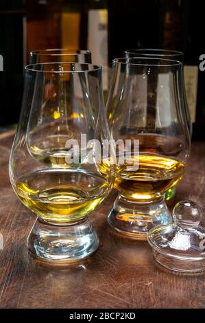 Degustazione di un volo di Scotch whisky da speciali bicchieri a tulipano in distilleria in Scozia, Regno Unito Foto Stock