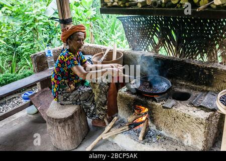 Una donna balinese senior che torreda il caffè luwak Foto Stock