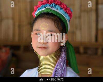 Graziosa ragazza pre-teen Kayan a collo lungo tailandese/birmana ("giraffa donna") con anelli/spirali in ottone e thanaka sul suo viso posa per la macchina fotografica. Foto Stock