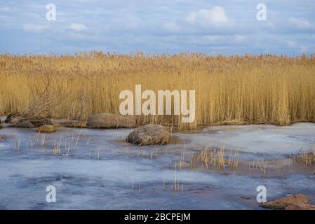 Laguna del lago Ladoga in una giornata nuvolosa di marzo. Regione di Leningrado, Russia Foto Stock