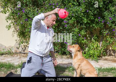 Uomo che gioca con il cane all'aperto in giardino Foto Stock