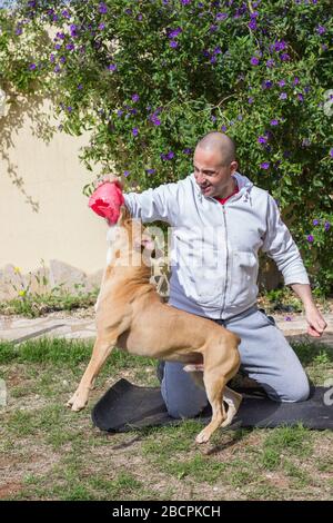 Uomo che gioca con il cane all'aperto in giardino Foto Stock