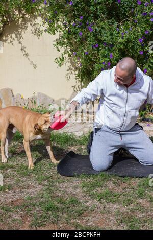 Uomo che gioca con il cane all'aperto in giardino Foto Stock