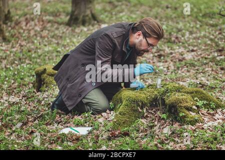 Botanico che raccoglie campioni di muschio Foto Stock