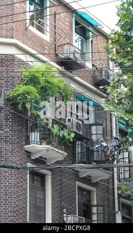 Un edificio storico residenziale nella concessione francese a Shanghai, Cina. Di fronte alla facciata ci sono graziosi balconi incorniciati da piante verdi. Foto Stock