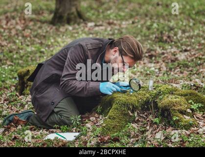 Botanico che studia campioni di muschio Foto Stock