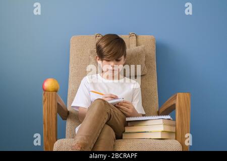 Bambino ragazzo che studia online a casa con libri, seduto in comoda sedia moderna su parete blu di fondo. E-learning, concetto di soggiorno a casa Foto Stock