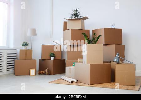 Immagine di sfondo minima di scatole di cartone impilate in una stanza vuota con piante e oggetti personali all'interno, concetto di spostamento o trasferimento, copia spazio Foto Stock