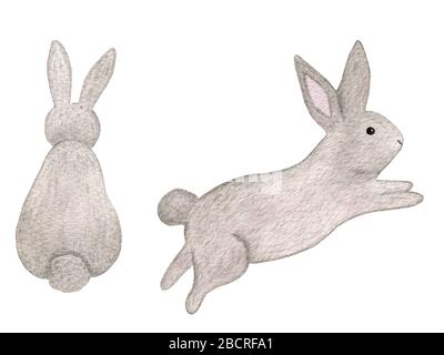 Carino cartone animato bunny jumping e bunny da dietro, acquerello coniglietto di Pasqua disegno, coniglio animale disegno Foto Stock