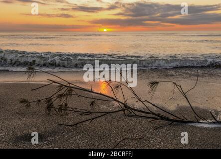 Spiagge della Florida Foto Stock