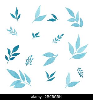 set di foglie d'acquerello isolato su bianco, blu botanico foglie elementi per adesivi, progetti decorativi, invito, carta o logo design Foto Stock