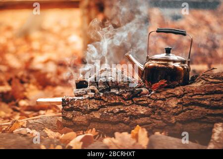 Tazza per tee su fuoco naturale in foresta Foto Stock