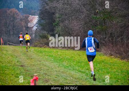 Gruppo di atleti professionisti cross country in gara in autunno natura. Sport o orienteering concetto di corsa Foto Stock