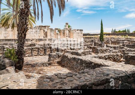 sinagoga bianca a capernaum, israele Foto Stock