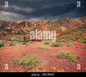 Paesaggio di piante nel deserto rosso con montagne e cielo coperto sfondo Foto Stock