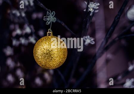 Oro lampadina di natale sul fiore albero con sfondo grigio scuro Foto Stock