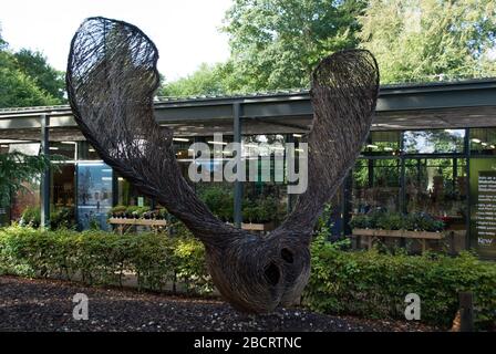 Semi di elicottero Sycamore Tree Sculpture Kew Royal Botanic Gardens, Ardingly, Haywards Heath, Sussex, RH17 6TN Foto Stock