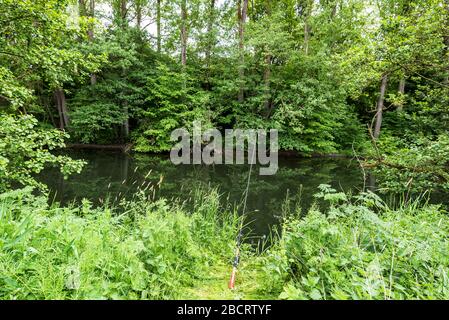 trote da pesca al fiume diemel, germania Foto Stock