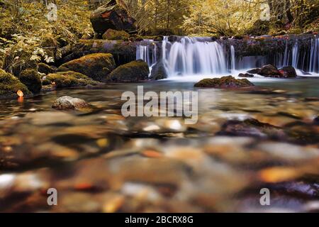 dettaglio su un torrente di montagna nella stagione autunnale Foto Stock