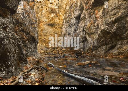 Vista delle gole del susara in autunno, Caransebes, Romania Foto Stock